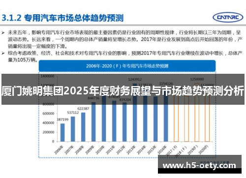 厦门姚明集团2025年度财务展望与市场趋势预测分析